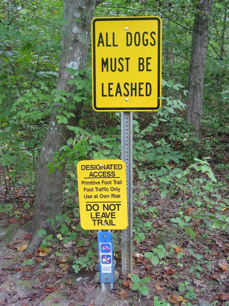 can dogs go in state forests