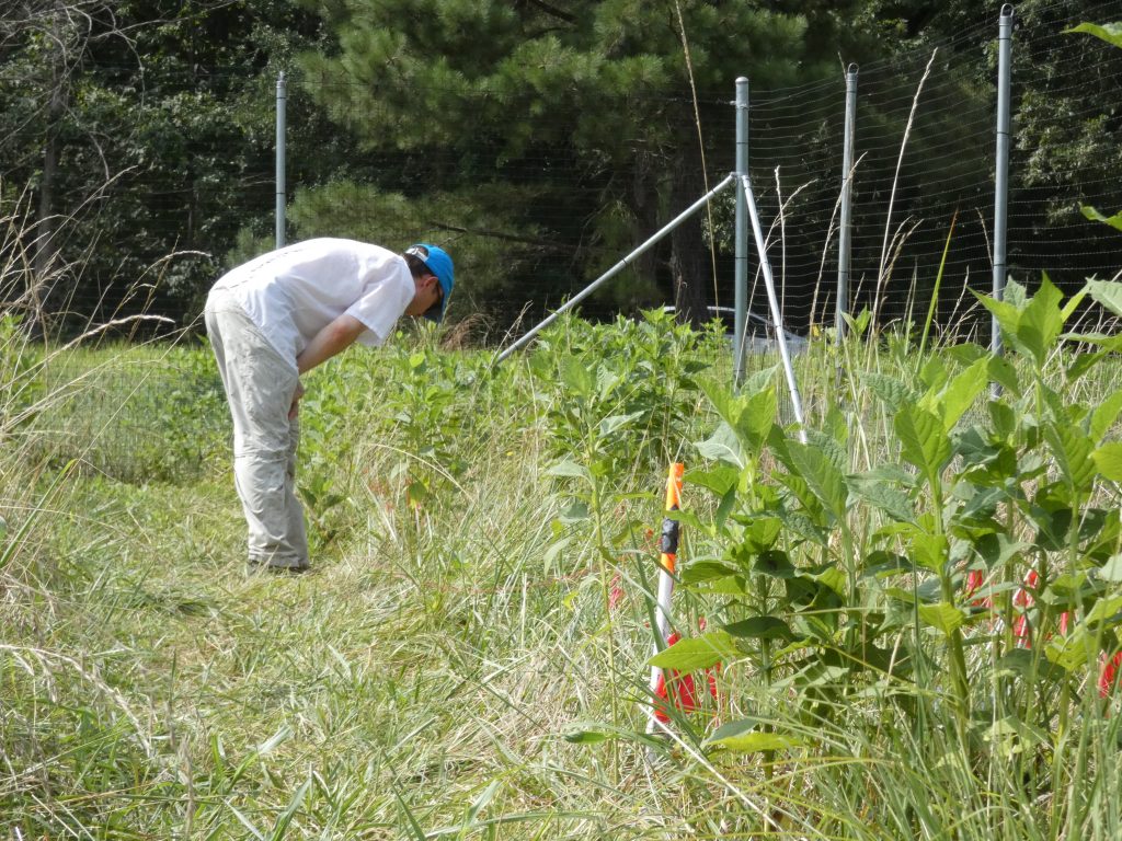 Mitchell examining his plots