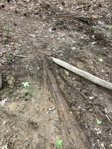 mountain bike tracks in mud