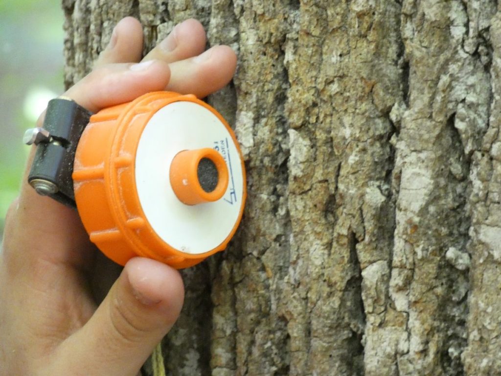 An orange receiving piece of  the DME Forest Distance Measurement Tool, held by a hand against a tree.